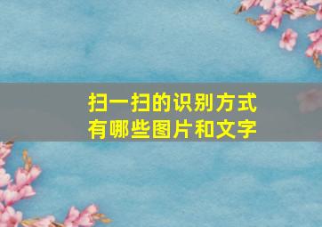 扫一扫的识别方式有哪些图片和文字