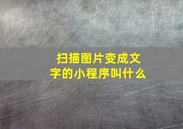 扫描图片变成文字的小程序叫什么