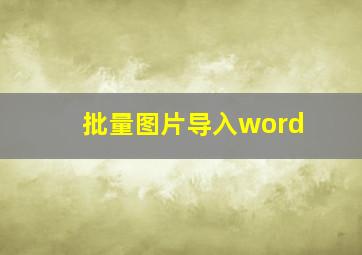 批量图片导入word