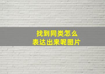 找到同类怎么表达出来呢图片