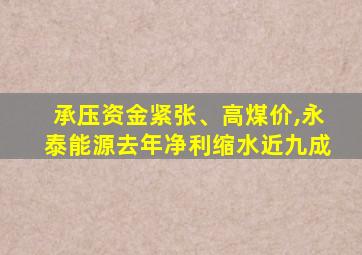 承压资金紧张、高煤价,永泰能源去年净利缩水近九成