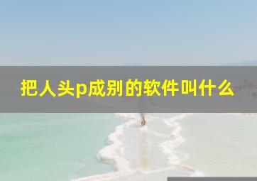 把人头p成别的软件叫什么