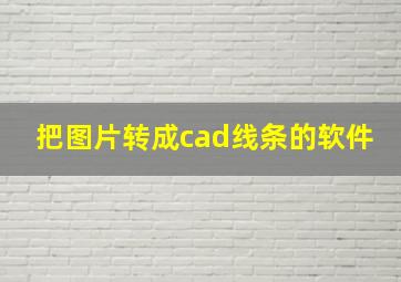 把图片转成cad线条的软件