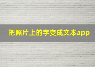 把照片上的字变成文本app