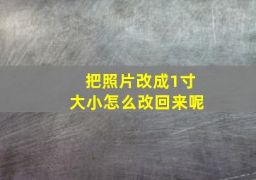 把照片改成1寸大小怎么改回来呢