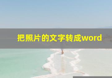 把照片的文字转成word