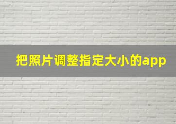 把照片调整指定大小的app