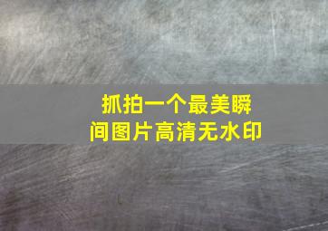 抓拍一个最美瞬间图片高清无水印