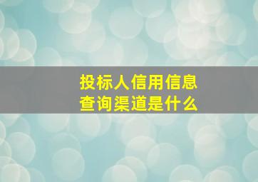 投标人信用信息查询渠道是什么