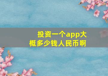 投资一个app大概多少钱人民币啊