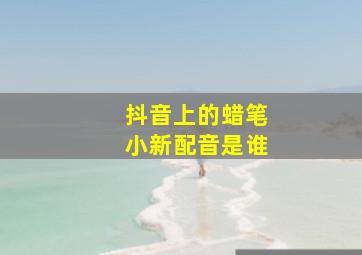 抖音上的蜡笔小新配音是谁