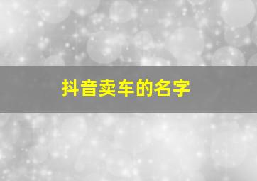 抖音卖车的名字