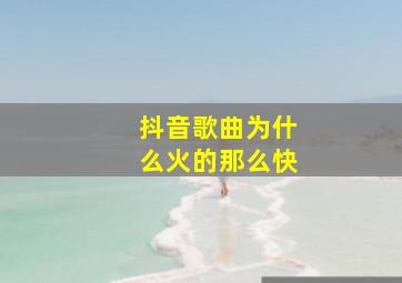 抖音歌曲为什么火的那么快