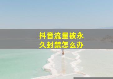 抖音流量被永久封禁怎么办