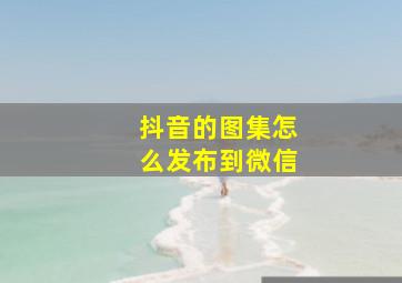 抖音的图集怎么发布到微信