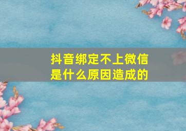 抖音绑定不上微信是什么原因造成的