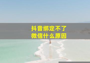 抖音绑定不了微信什么原因