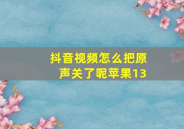 抖音视频怎么把原声关了呢苹果13