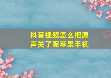 抖音视频怎么把原声关了呢苹果手机