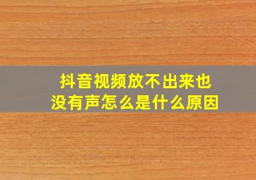 抖音视频放不出来也没有声怎么是什么原因