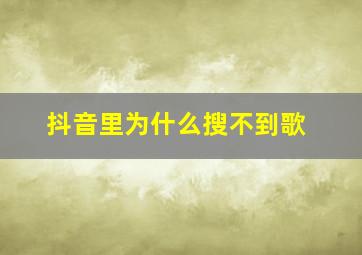 抖音里为什么搜不到歌