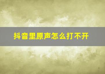 抖音里原声怎么打不开