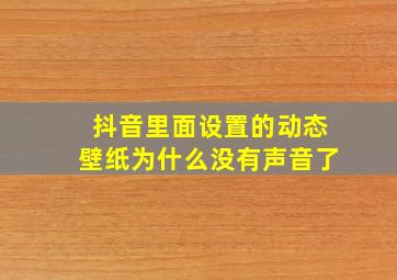 抖音里面设置的动态壁纸为什么没有声音了