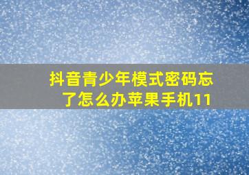 抖音青少年模式密码忘了怎么办苹果手机11