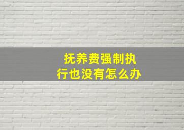 抚养费强制执行也没有怎么办