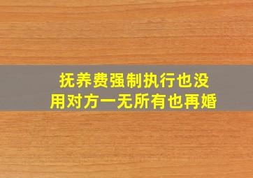 抚养费强制执行也没用对方一无所有也再婚