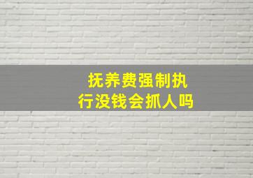 抚养费强制执行没钱会抓人吗