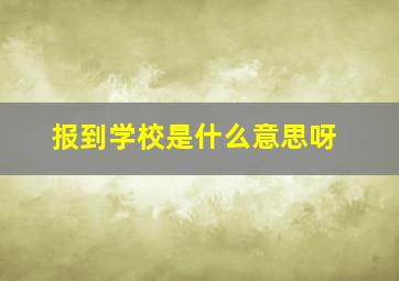 报到学校是什么意思呀