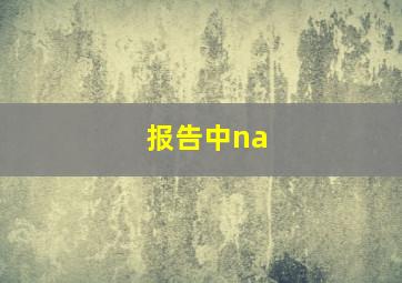 报告中na