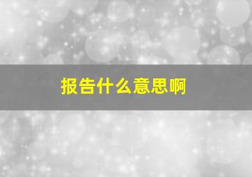 报告什么意思啊