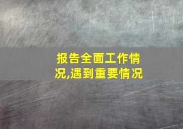 报告全面工作情况,遇到重要情况