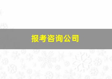 报考咨询公司