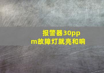 报警器30ppm故障灯就亮和响