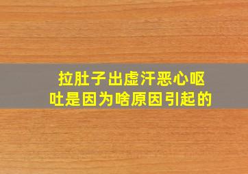 拉肚子出虚汗恶心呕吐是因为啥原因引起的