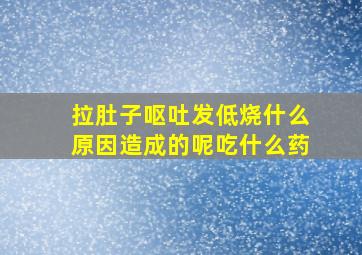 拉肚子呕吐发低烧什么原因造成的呢吃什么药