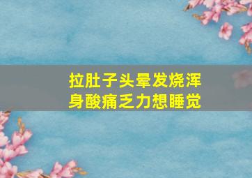 拉肚子头晕发烧浑身酸痛乏力想睡觉