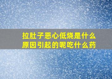 拉肚子恶心低烧是什么原因引起的呢吃什么药