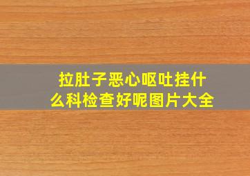 拉肚子恶心呕吐挂什么科检查好呢图片大全