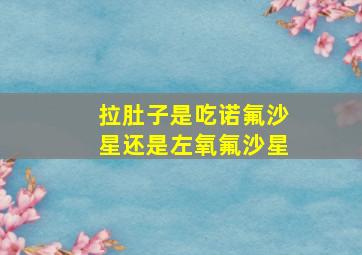 拉肚子是吃诺氟沙星还是左氧氟沙星