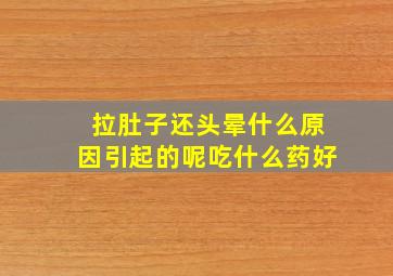 拉肚子还头晕什么原因引起的呢吃什么药好