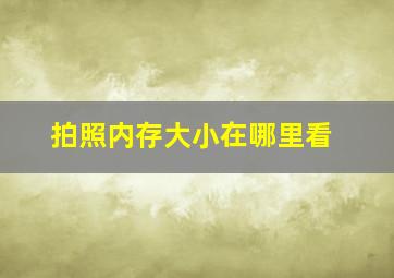 拍照内存大小在哪里看