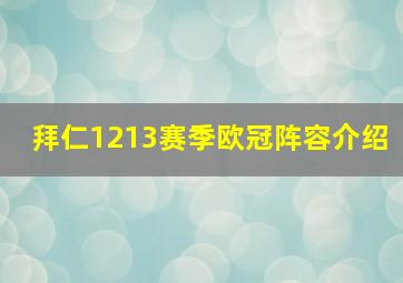 拜仁1213赛季欧冠阵容介绍