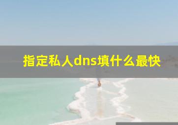 指定私人dns填什么最快