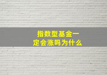 指数型基金一定会涨吗为什么