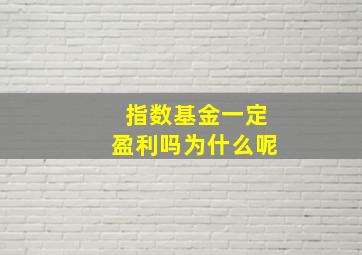 指数基金一定盈利吗为什么呢