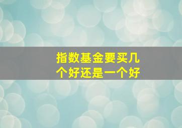 指数基金要买几个好还是一个好